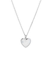 AGAIN Jewelry Stříbrný náhrdelník Srdce s perletí AJNA0031 (Ag925/1000, 3,2 g) - Náhrdelník