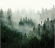 FT4P 7253 - Fototapeta