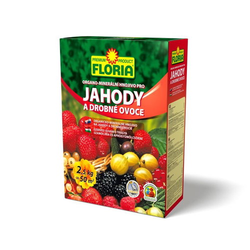 FLORIA for Strawberries and Fruits of 2.5kg - Fertiliser - Main image