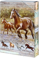 ARGUS Box na sešity A4 Wild horses - Desky na sešity