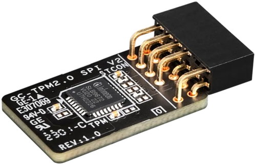 GIGABYTE GC-TPM2.0 SPI V2 - Module - Main image