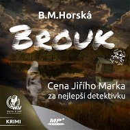 Brouk - Audiokniha MP3