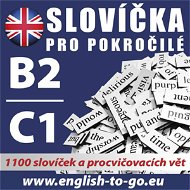 Angličtina – Slovíčka pro pokročilé B2/C1 - Různí autoři