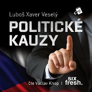 Politické kauzy - Audiokniha MP3