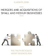 MERGERS AND ACQUSITIONS OF SMALL AND MEDIUM BUSINESSES - Audiokniha MP3