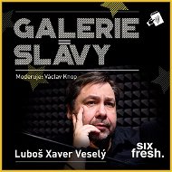 Galerie slávy – Luboš Xaver Veselý - Audiokniha MP3