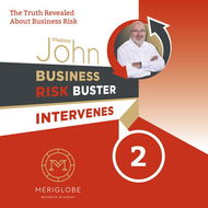 BUSINESS RISK BUSTER INTERVENES 2 - Vladimír John