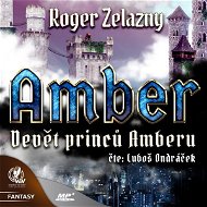 Amber 1 - Devět princů Amberu - Audiokniha MP3