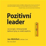 Pozitivní leader - Audiokniha MP3