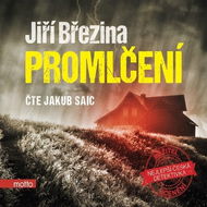 Promlčení - Audiokniha MP3
