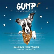 Gump - Audiokniha MP3