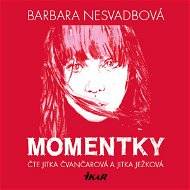 Momentky - Audiokniha MP3