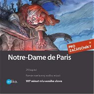 Notre-Dame de Paris - Audiokniha MP3