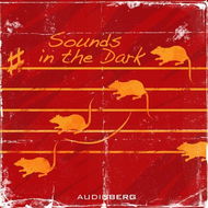 Sounds in the Dark - Audiokniha MP3