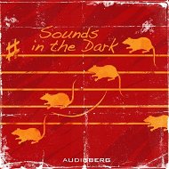 Sounds in the Dark - Audiokniha MP3