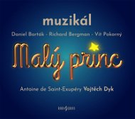 Malý princ - muzikál - Audiokniha MP3