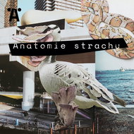 Anatomie strachu - Audiokniha MP3