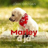 Marley a já - Audiokniha MP3
