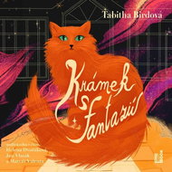 Krámek s fantazií - Audiokniha MP3