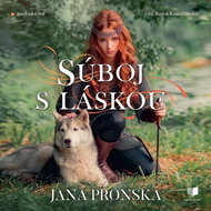 Súboj s láskou - Audiokniha MP3