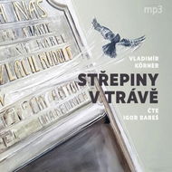 Střepiny v trávě - Audiokniha MP3