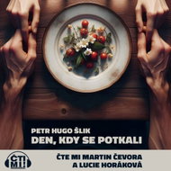 Den, kdy se potkali - Audiokniha MP3
