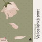 Velice lehká smrt - Audiokniha MP3