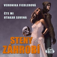 Steny záhrobí - Audiokniha MP3