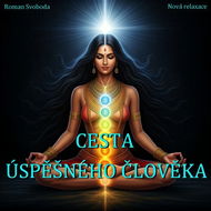 Cesta úspěšného člověka - Audiokniha MP3