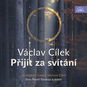 Přijít za svítání - Audiokniha MP3