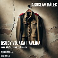Osudy vojáka Havlíka aneb Válčili jsme za Husáka - Audiokniha MP3