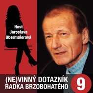 (Ne)vinný dotazník Radka Brzobohatého 9. - Audiokniha MP3