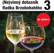 (Ne)vinný dotazník Radka Brzobohatého 3. - Audiokniha MP3