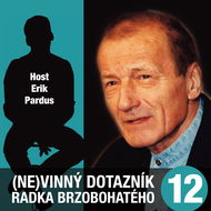 (Ne)vinný dotazník Radka Brzobohatého 12. - Audiokniha MP3