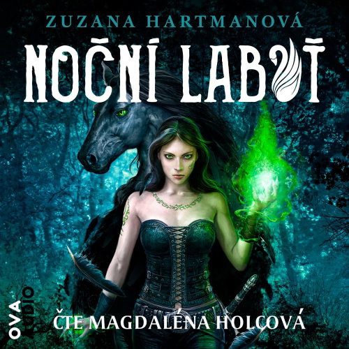 Night Swan - MP3 Audiobook - Main image