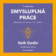 Smysluplná práce - MP3 Audiobook