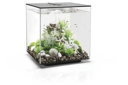 biOrb CUBE 60 LED, Black - Aquarium - Main image