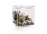 biOrb CUBE 60 LED, Transparent - Aquarium