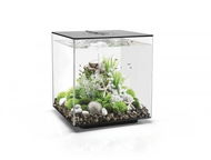 biOrb CUBE 60 MCR, Black - Aquarium