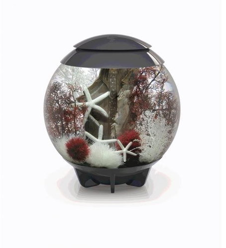 biOrb HALO 60 LED, Grey - Aquarium - Main image