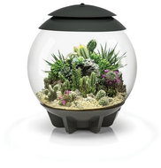 biOrb AIR 30 Grey - Terrarium