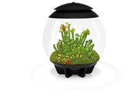 biOrb AIR 30 Black - Terrarium