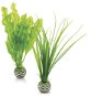 biOrb Easy plant set S zelená - Dekorácia do akvária