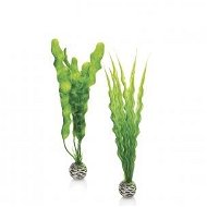 biOrb Easy plant set M green - Aquarium Decoration