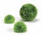 biOrb Aquatic topiary ball sada 3, zelená - Dekorácia do akvária