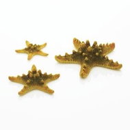 biOrb Sea Star set 3 yellow - Aquarium Decoration