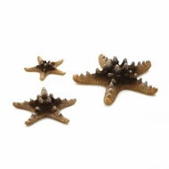 biOrb Sea Star set 3 natural - Aquarium Decoration
