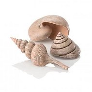 biOrb sea shells prírodný - Dekorácia do akvária