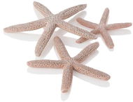 Dekorácia do akvária biOrb starfish Set 3 prírodný - Dekorace do akvária