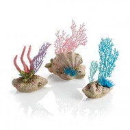 biOrb coral fans & shells set - Aquarium Decoration